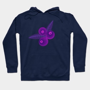 Blueberry Hoodie